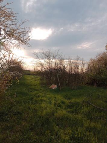 Rustico / Casale di 140 m² con 3 locali in vendita a Novi di Modena - Foto 4