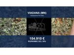 Immobile in asta di 347 m² con più di 5 locali in vendita a Viadana