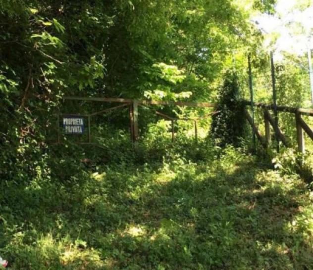 Immobile in asta di 1720 m² in vendita a San Massimo - Foto 5