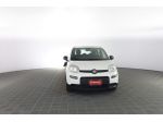FIAT Panda Panda 1.0 FireFly S&S Hybrid rif. 23696461