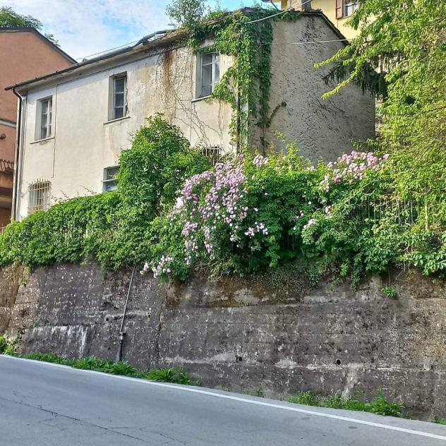 Singola in vendita a Pietrasanta
