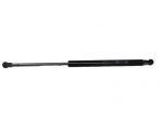 PISTONCINI COFANO POST. FIAT Panda 3° Serie 51841634 (12)