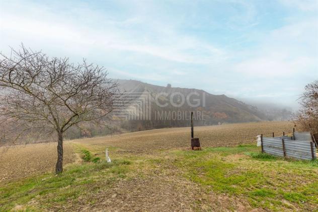 PODERE CON TERRENO AGRICOLO, LAGHETTO E DUE ABITAZIONI INDIPENDENTI - Foto 17