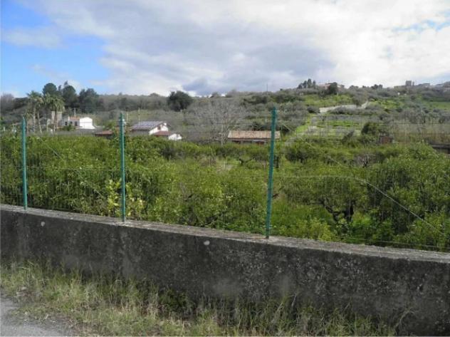 Immobile in asta di 463 m² in vendita a Santa Lucia del Mela - Foto 3