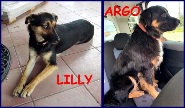 LILLY e ARGO 6anni bravi un po' vagabondi!