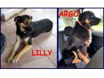 LILLY e ARGO 6anni bravi un po' vagabondi!