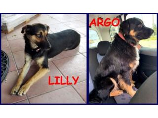 LILLY e ARGO 6anni bravi un po' vagabondi!
