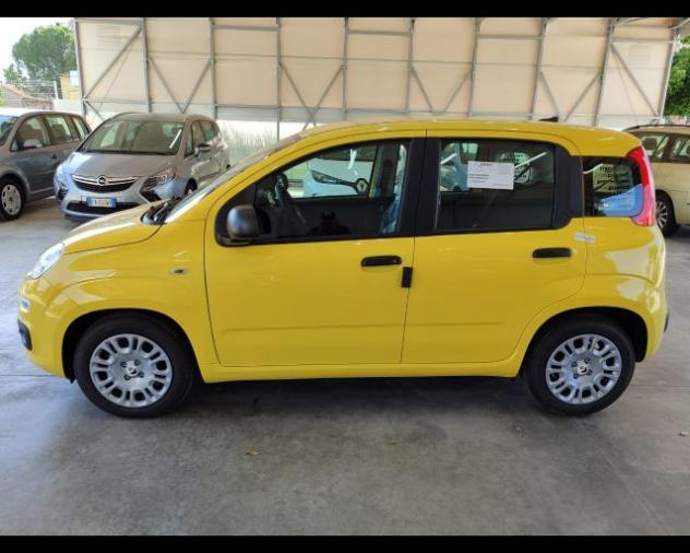 FIAT Pandina 1.0 FireFly 65 CV Hybrid Icon rif. 24121662 - Foto 3