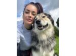 Dog sitter