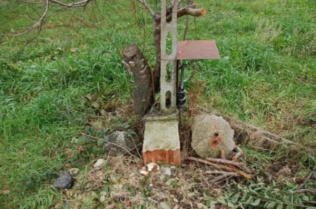 Immobile in asta di 7880 m² in vendita a Corciano - Foto 14