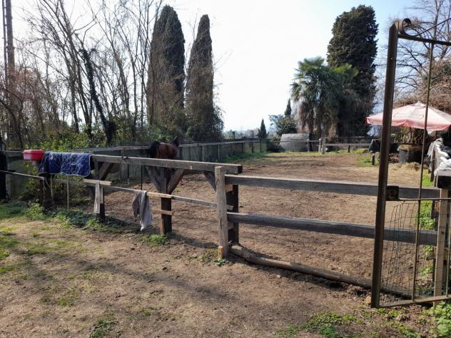 Prato in vendita a Verbania - Foto 4