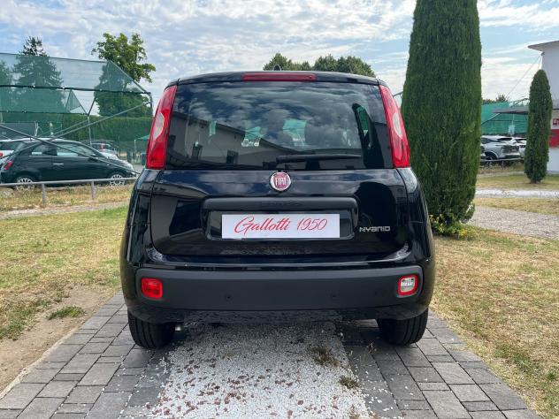 FIAT Panda 1.0 FireFly 70cv S&S Hybrid 5 posti - Foto 8