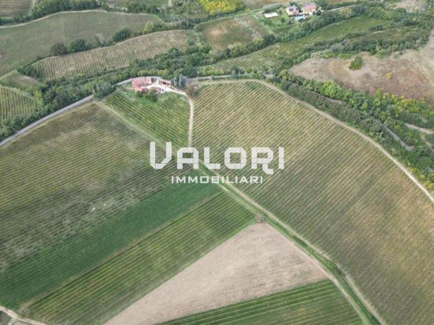 PODERE AGRICOLO DI CIRCA HA 31 OLTRE A CORTE CON CASA COLONICA E SERVIZI - Foto 9