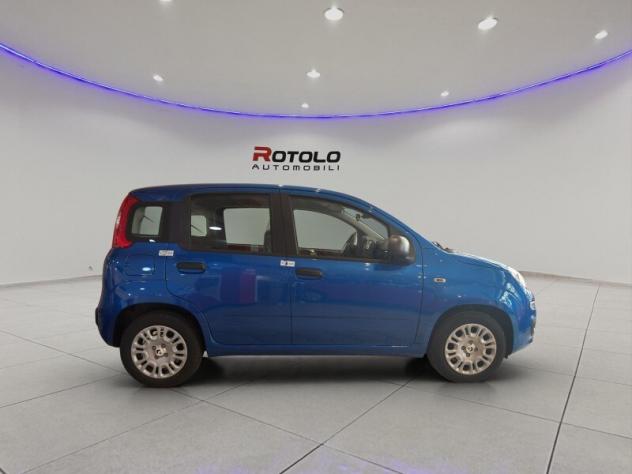 FIAT Pandina Pandina 1.0 FireFly 65 CV Hybrid Icon - Foto 3