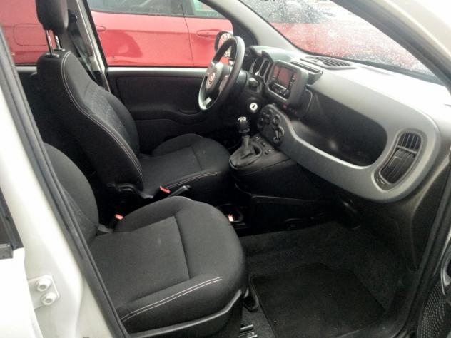 Fiat Panda 1.0 FireFly S&S Hybrid - Foto 4