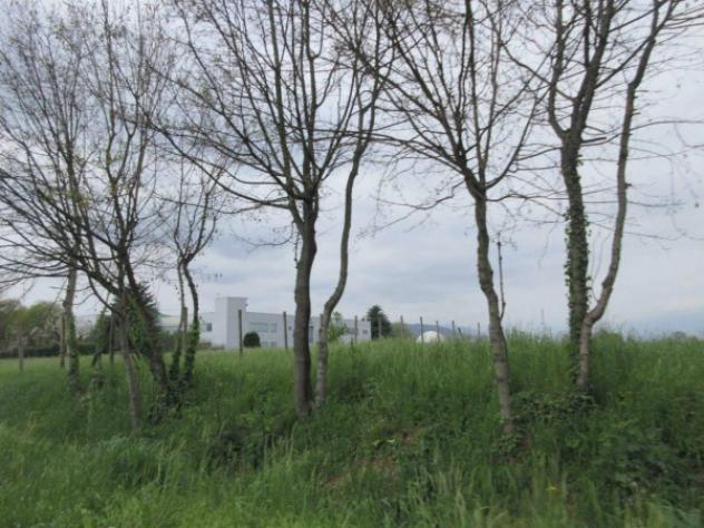 Immobile in asta di 7880 m² in vendita a Isola Vicentina - Foto 14