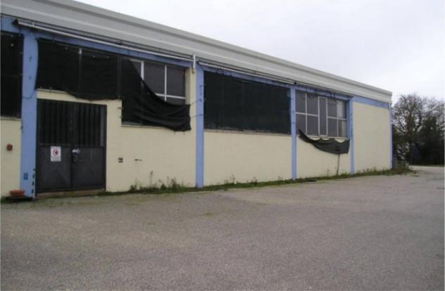 Immobile in asta di 660 m² in vendita a Sinalunga - Foto 5