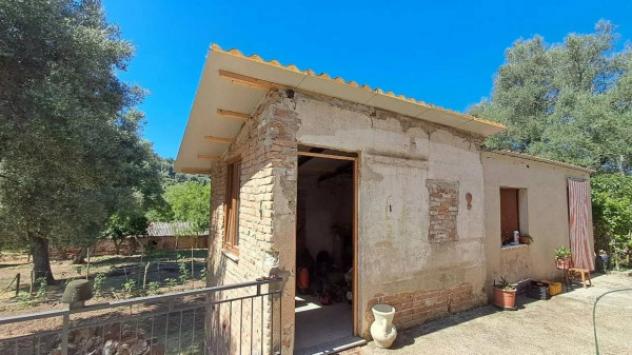 Immobile in asta di 420 m², box auto in vendita a Feroleto della Chiesa - Foto 13