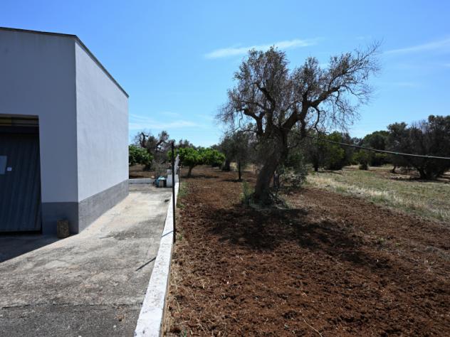Villa in Contrada Marangella - Foto 19