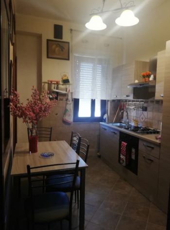 Stanza Studentessa Vicinissima Facoltà di Medicina - Foto 5