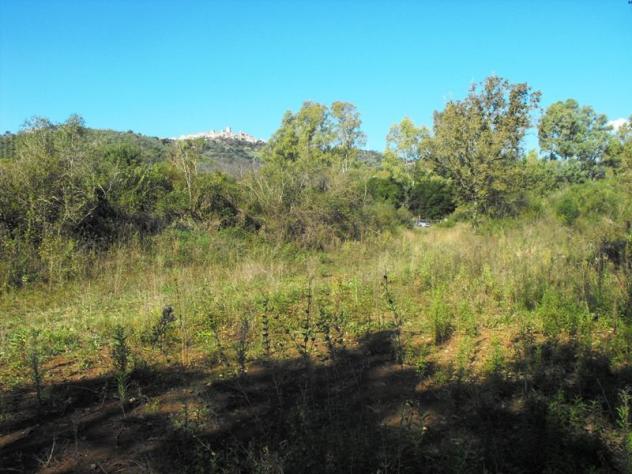 Agricolo in Via Salicuneta - Foto 4