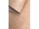 Scampolo pelle a vegetale naturale – N7