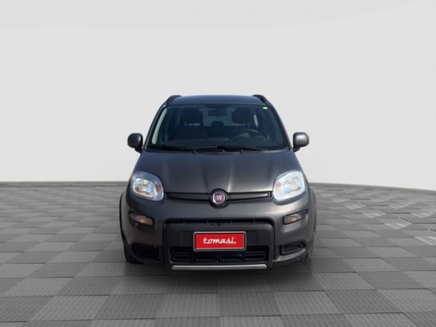 FIAT Panda Panda 1.0 FireFly Hybrid City Life rif. 23814774
