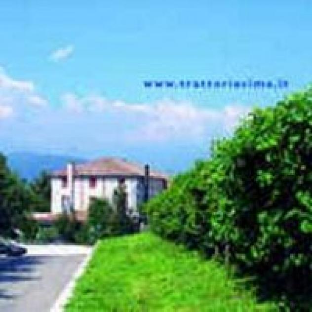 Trattoria alla Cima Ristorante