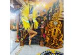 Ballerina Brasiliana Spettacolo