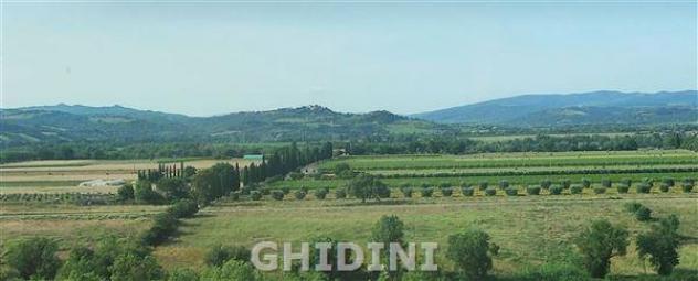 CASALE di 20 vani e di 750 mq (CINIGIANO - S. RITA) rif. 2432.102P - Foto 13