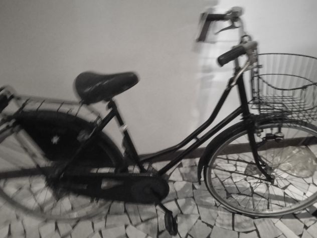City bike mod.  Olandese 26 dim in buone condizioni generali - Foto 4
