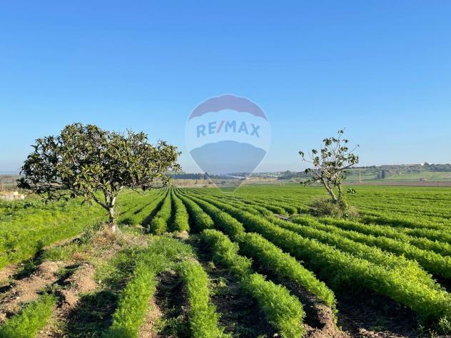 Terreno in vendita a Noto - Foto 2