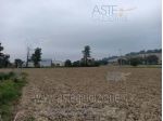 IMMOBILI-ALTRA CATEGORIA-Via Santa Maria Apparve, 60010 Ostra AN, Italia