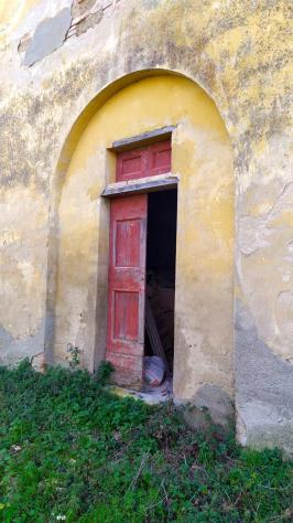 Bellissimo Casale Diruto Da Restaurare Immerso nel Verde delle Colline Pisane della Valdera - Foto 7