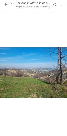 Appezzamento di terreno