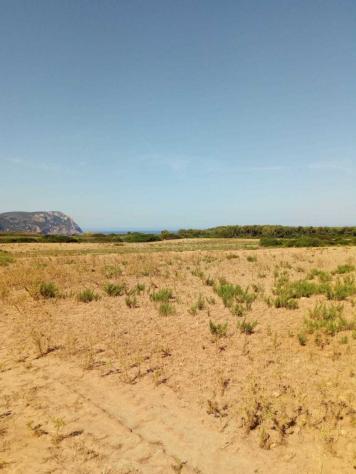 Seminativo in vendita a Sassari - Foto 2