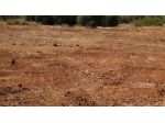 Terreno Agricolo