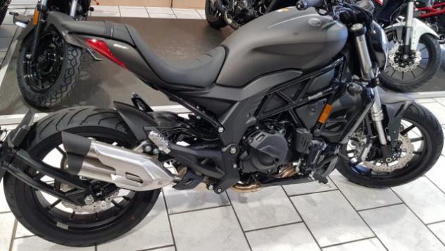 BENELLI X 502 CRUISER rif. 11439325 - Foto 3