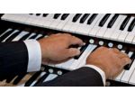 Organista professionista Alessandria