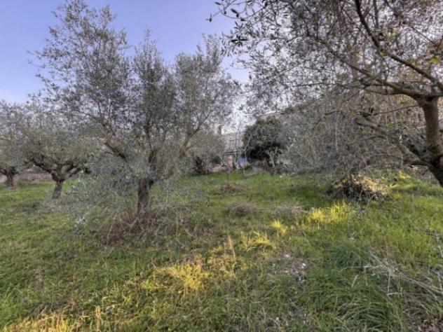 Immobile in asta di 4660 m² in vendita a Corropoli - Foto 3