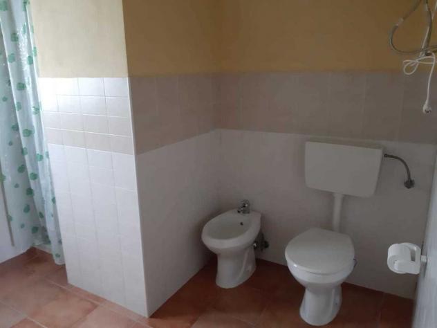 Uliveto in vendita a Siracusa - Foto 8