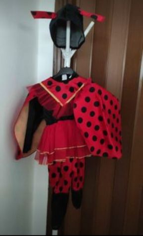 Costumi di Carnevale - Foto 8