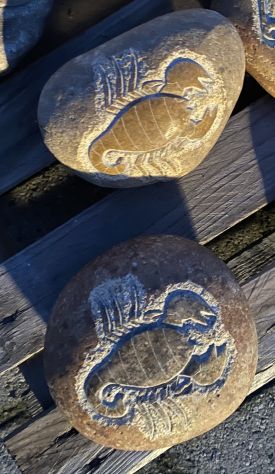 Segni zodiacali scolpiti su pietra - Foto 9