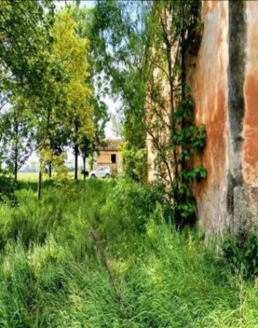 Immobile in asta di 438 m² in vendita a Curtatone - Foto 3