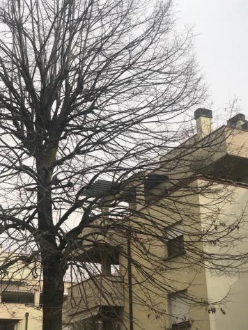 Attico in vendita a Reggio nell'Emilia - Foto 2