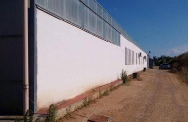 Immobile in asta di 6310 m² in vendita a Bernalda - Foto 4