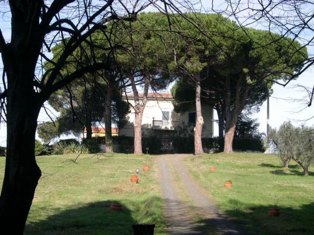 Terreno agricolo in vendita a Casale Marittimo 240000 mq Rif: 1177352 - Foto 2