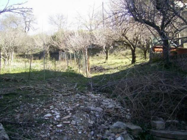 Immobile in asta di 4300 m² in vendita a Cerchiara di Calabria - Foto 9