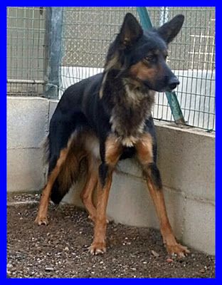 KITANA, SPLENDIDA MIX LUPETTA CERCA CASA - Foto 2