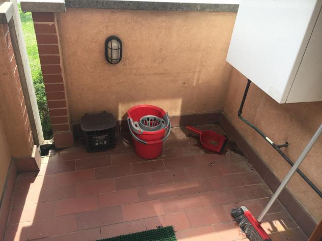 Appartamento in affitto a Pisa 40 mq Rif: 813077 - Foto 5